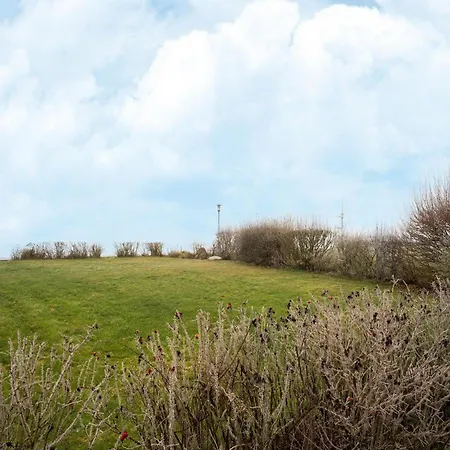 Exklusives Skandinavisches Rechlin